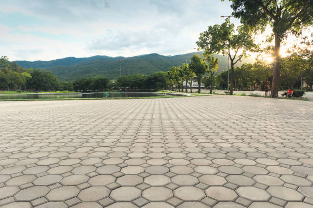 Best Residential Paver Driveway  in Glen Lyon, PA